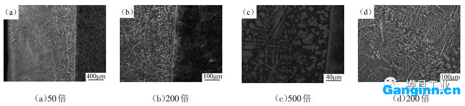 不同倍数下熔覆层的显微组织
