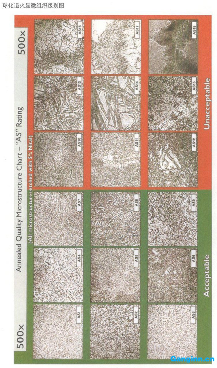天工TGE13（H13）模具钢简介-球化退火显微组织级别图